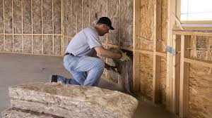 Best Basement Insulation  in Bayou Gauche, LA